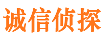 江山侦探公司